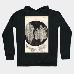 Cork cells, Hooke's Micrographia (1665) (C024/3956) Hoodie